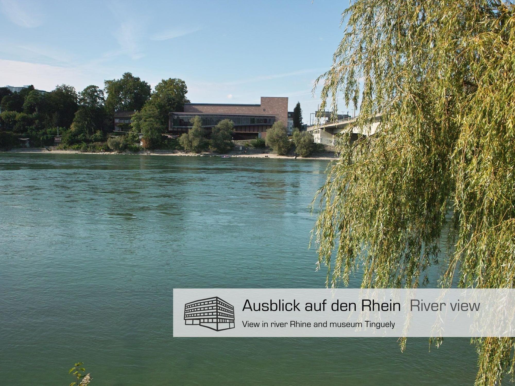 Dasbreitehotel Am Rhein Basel Eksteriør bilde